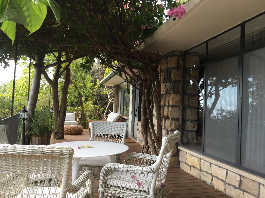Mizpe Hayamim By Isrotel Exclusive 罗什平纳 外观 照片